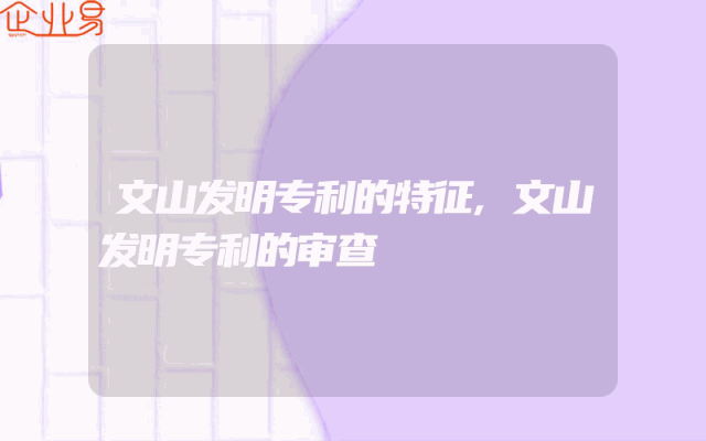 文山发明专利的特征,文山发明专利的审查