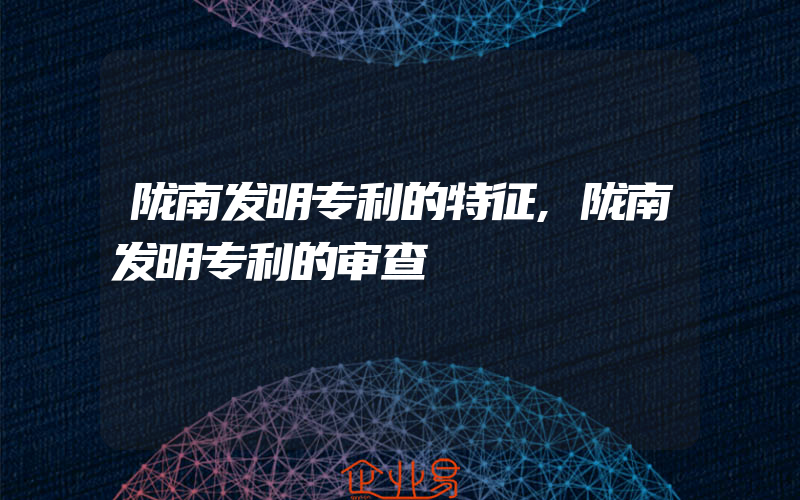 陇南发明专利的特征,陇南发明专利的审查