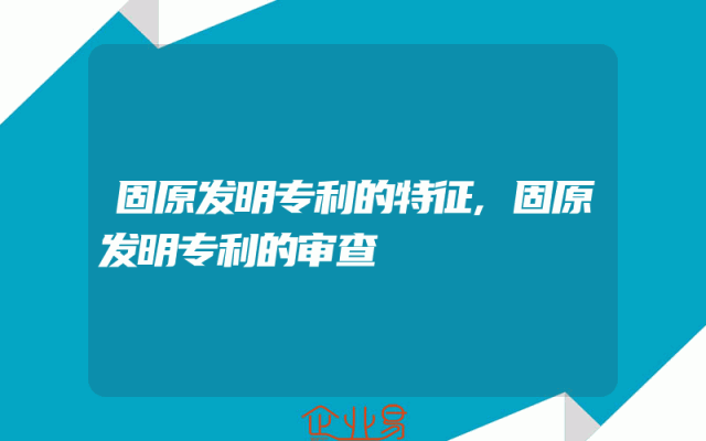 固原发明专利的特征,固原发明专利的审查
