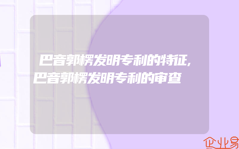 巴音郭楞发明专利的特征,巴音郭楞发明专利的审查