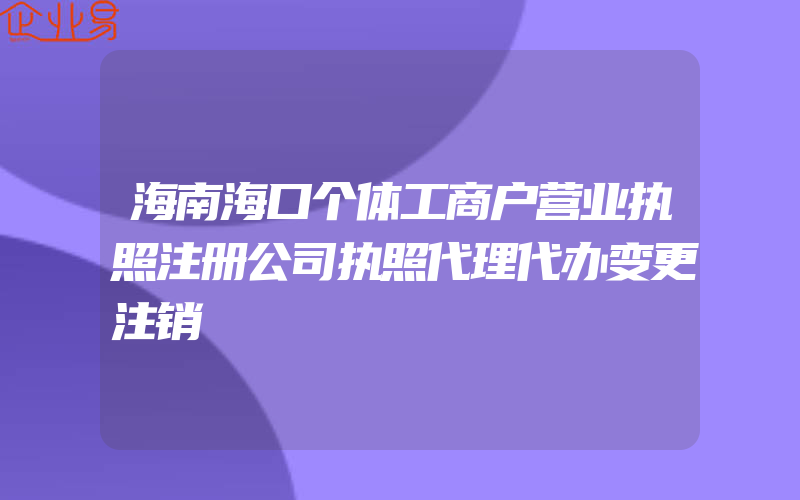 海南海口个体工商户营业执照注册公司执照代理代办变更注销