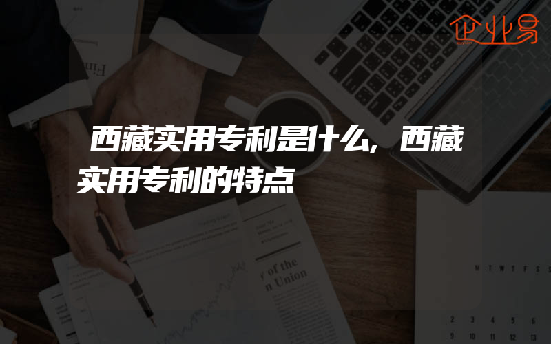 西藏实用专利是什么,西藏实用专利的特点