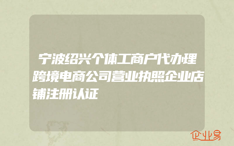 宁波绍兴个体工商户代办理跨境电商公司营业执照企业店铺注册认证