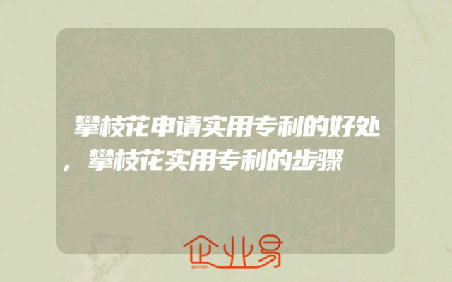 攀枝花申请实用专利的好处,攀枝花实用专利的步骤