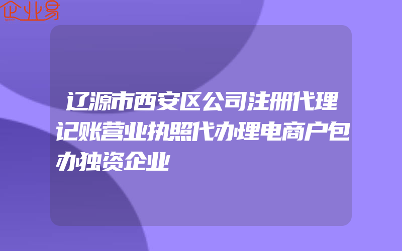 辽源市西安区公司注册代理记账营业执照代办理电商户包办独资企业