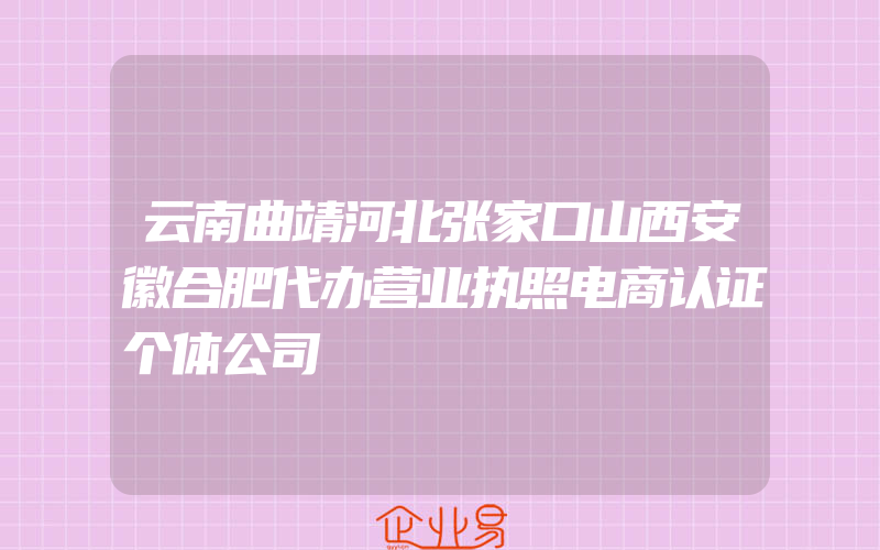 云南曲靖河北张家口山西安徽合肥代办营业执照电商认证个体公司