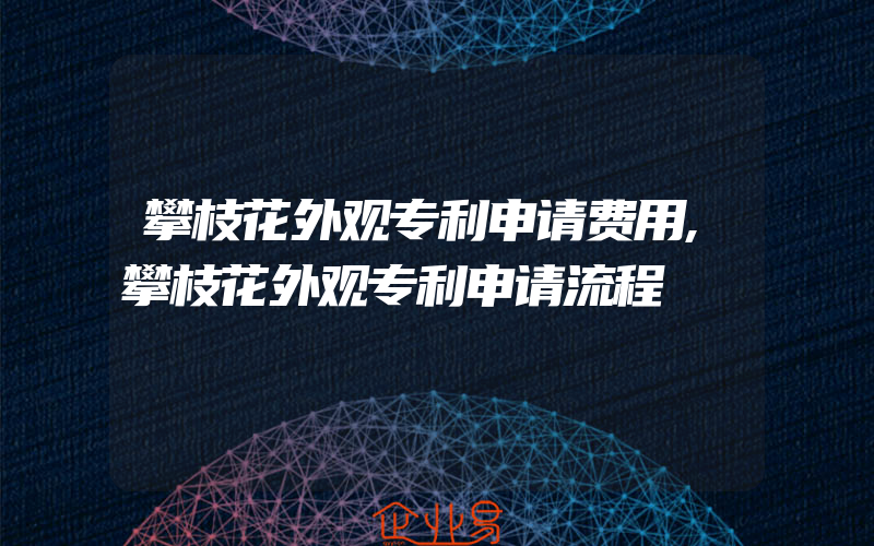 攀枝花外观专利申请费用,攀枝花外观专利申请流程