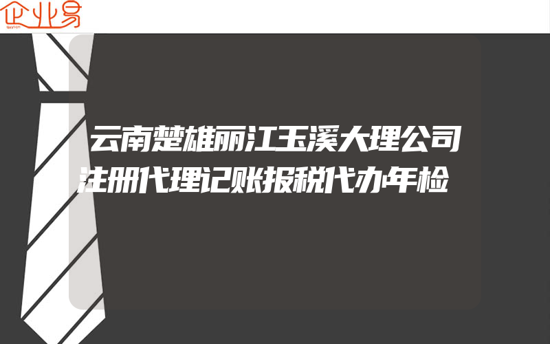 云南楚雄丽江玉溪大理公司注册代理记账报税代办年检