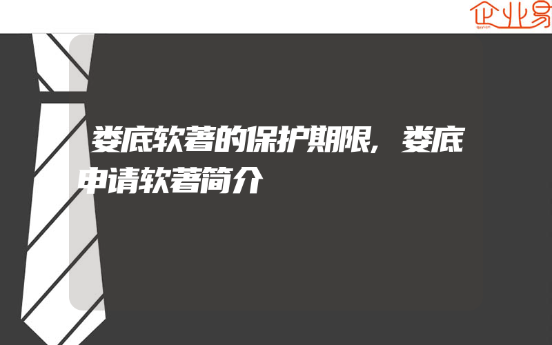 娄底软著的保护期限,娄底申请软著简介