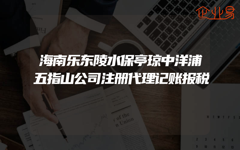 海南乐东陵水保亭琼中洋浦五指山公司注册代理记账报税