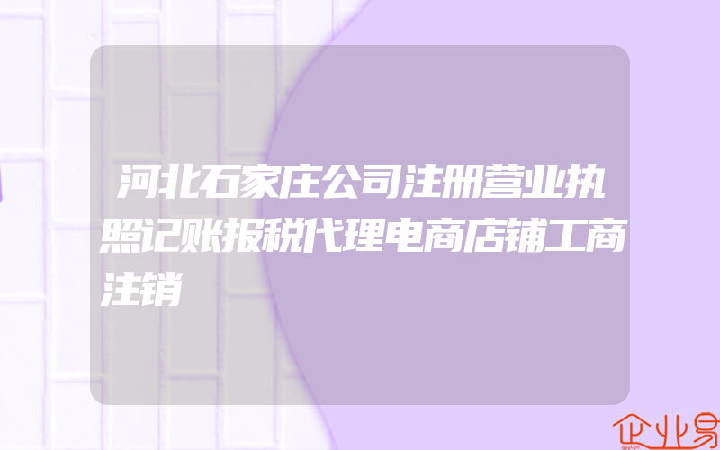 河北石家庄公司注册营业执照记账报税代理电商店铺工商注销