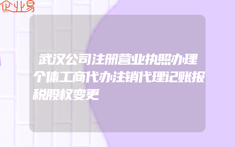 武汉公司注册营业执照办理个体工商代办注销代理记账报税股权变更