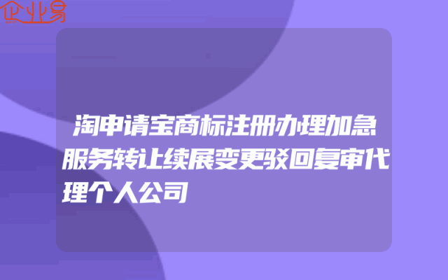 淘申请宝商标注册办理加急服务转让续展变更驳回复审代理个人公司
