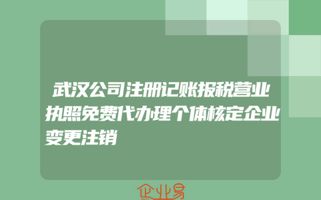 武汉公司注册记账报税营业执照免费代办理个体核定企业变更注销