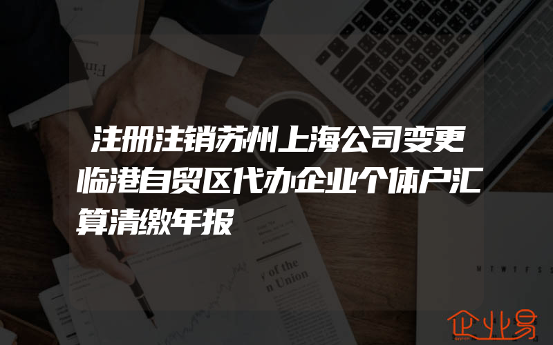 注册注销苏州上海公司变更临港自贸区代办企业个体户汇算清缴年报