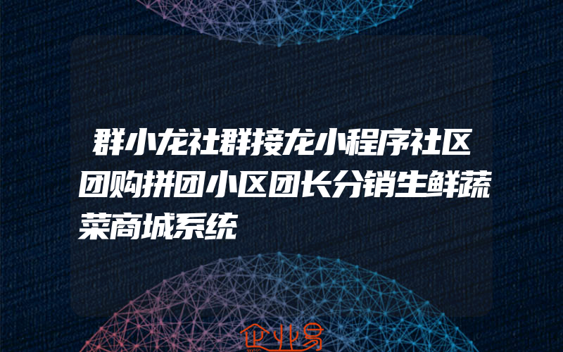 群小龙社群接龙小程序社区团购拼团小区团长分销生鲜蔬菜商城系统