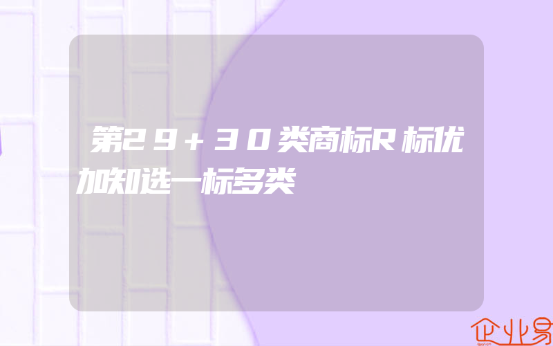 第29+30类商标R标优加知选一标多类