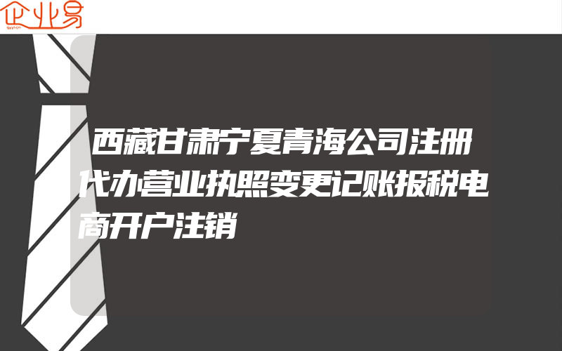 西藏甘肃宁夏青海公司注册代办营业执照变更记账报税电商开户注销