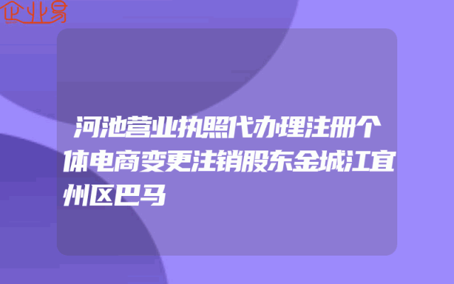 河池营业执照代办理注册个体电商变更注销股东金城江宜州区巴马