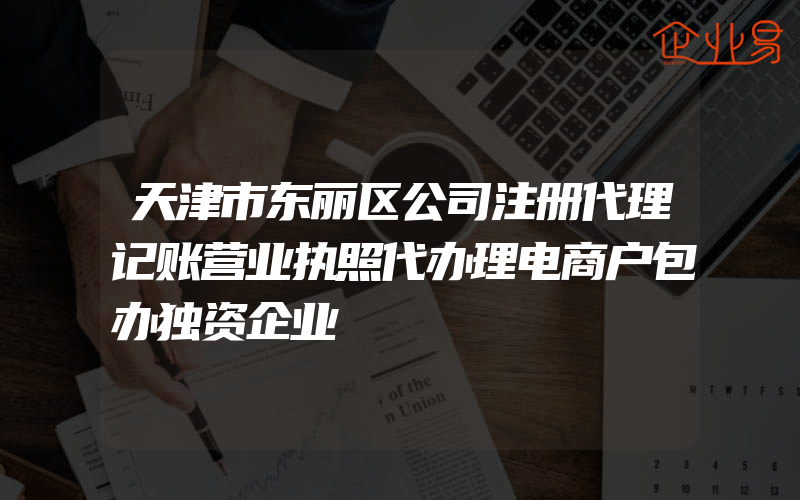 天津市东丽区公司注册代理记账营业执照代办理电商户包办独资企业