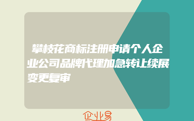 攀枝花商标注册申请个人企业公司品牌代理加急转让续展变更复审