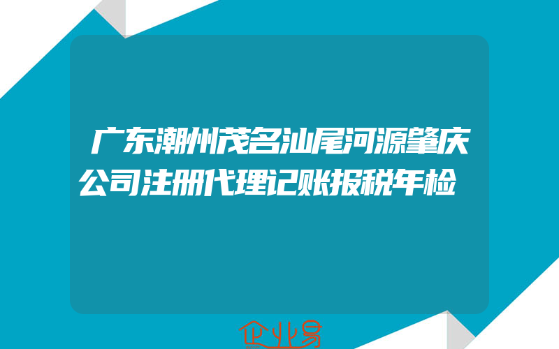 广东潮州茂名汕尾河源肇庆公司注册代理记账报税年检