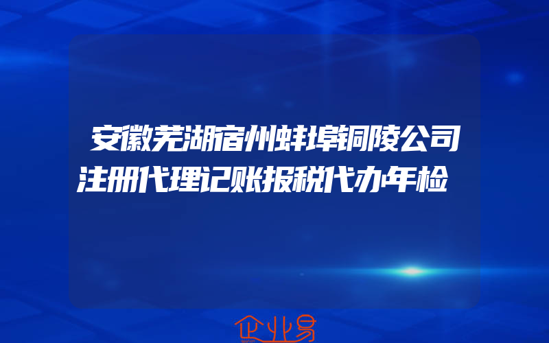 安徽芜湖宿州蚌埠铜陵公司注册代理记账报税代办年检