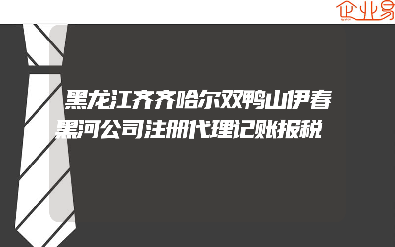 黑龙江齐齐哈尔双鸭山伊春黑河公司注册代理记账报税