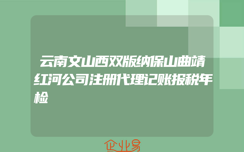 云南文山西双版纳保山曲靖红河公司注册代理记账报税年检