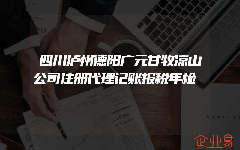 四川泸州德阳广元甘牧凉山公司注册代理记账报税年检