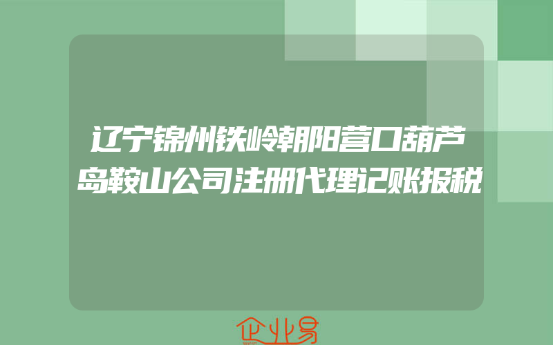 辽宁锦州铁岭朝阳营口葫芦岛鞍山公司注册代理记账报税