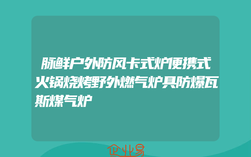 脉鲜户外防风卡式炉便携式火锅烧烤野外燃气炉具防爆瓦斯煤气炉