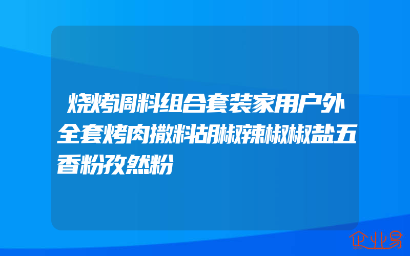 烧烤调料组合套装家用户外全套烤肉撒料胡椒辣椒椒盐五香粉孜然粉