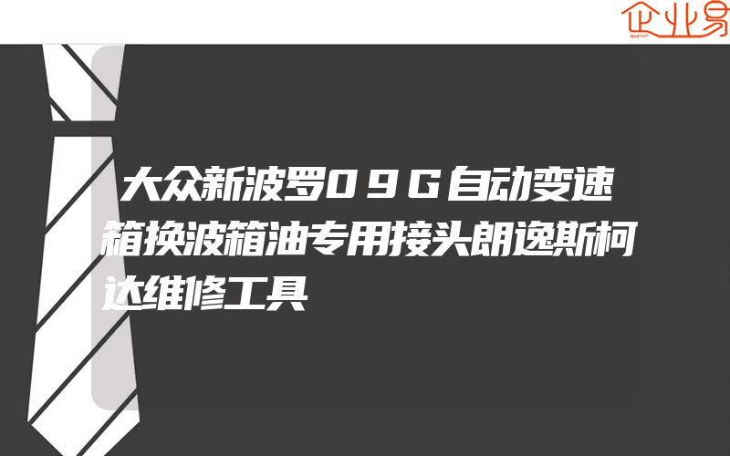 大众新波罗09G自动变速箱换波箱油专用接头朗逸斯柯达维修工具