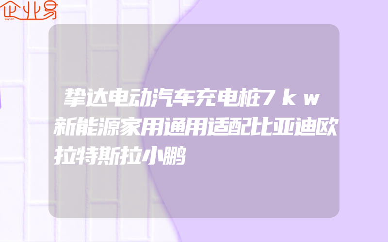 挚达电动汽车充电桩7kw新能源家用通用适配比亚迪欧拉特斯拉小鹏