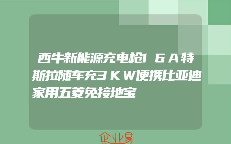 西牛新能源充电枪16A特斯拉随车充3KW便携比亚迪家用五菱免接地宝