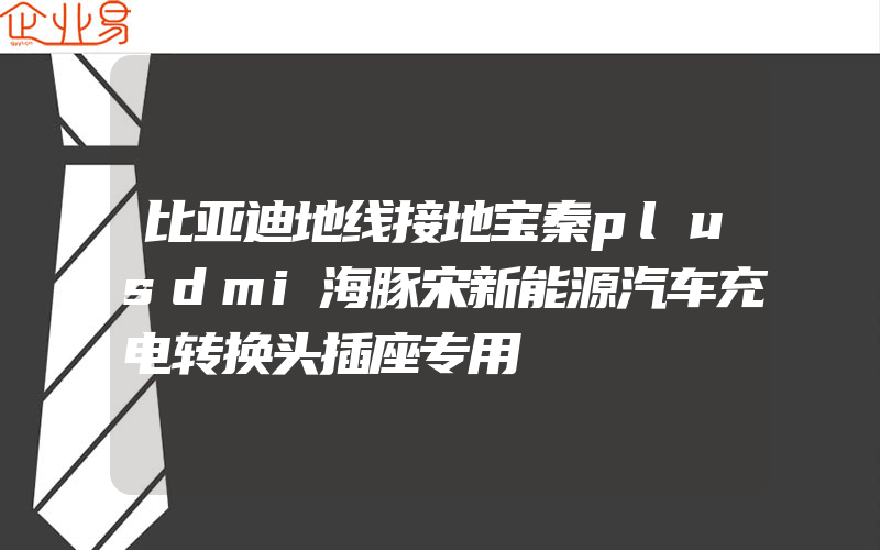 比亚迪地线接地宝秦plusdmi海豚宋新能源汽车充电转换头插座专用