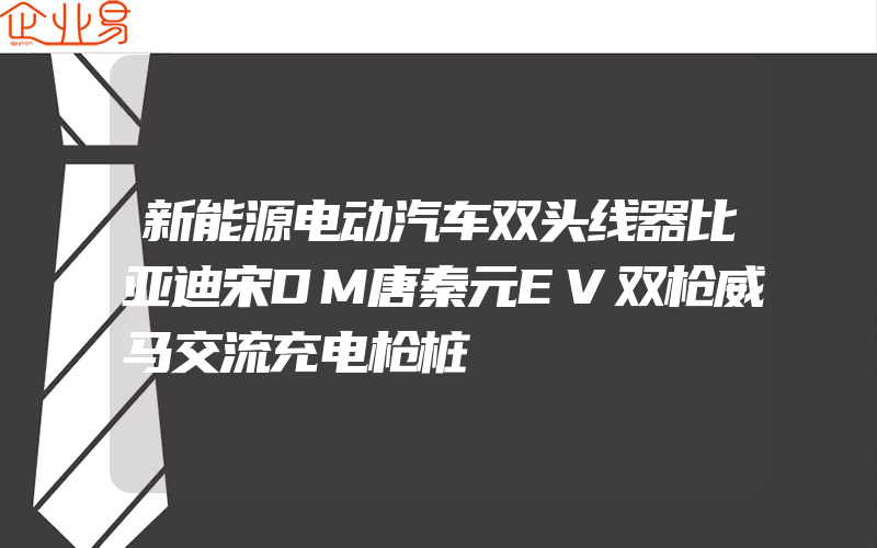 新能源电动汽车双头线器比亚迪宋DM唐秦元EV双枪威马交流充电枪桩