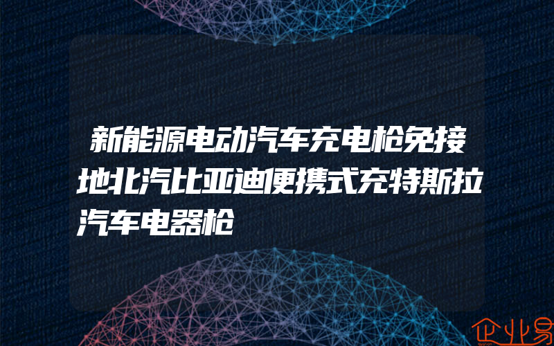 新能源电动汽车充电枪免接地北汽比亚迪便携式充特斯拉汽车电器枪