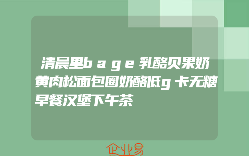 清晨里bage乳酪贝果奶黄肉松面包圈奶酪低g卡无糖早餐汉堡下午茶