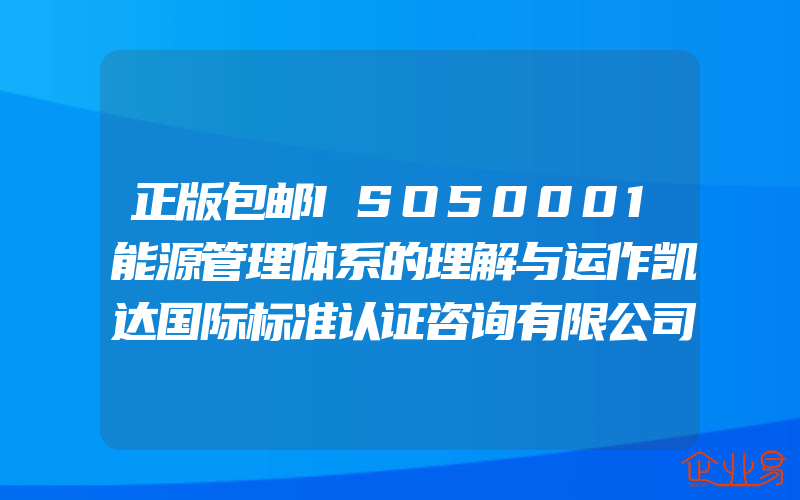 正版包邮ISO50001能源管理体系的理解与运作凯达国际标准认证咨询有限公司书店工业技术书籍畅想畅销书