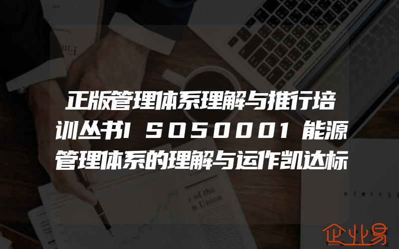 正版管理体系理解与推行培训丛书ISO50001能源管理体系的理解与运作凯达标准认证咨询有限公司工业技术电工技术电工基