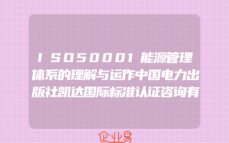 ISO50001能源管理体系的理解与运作中国电力出版社凯达国际标准认证咨询有限公司编著作管理理论新华文馨正版