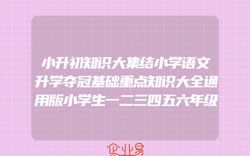 小升初知识大集结小学语文升学夺冠基础重点知识大全通用版小学生一二三四五六年级毕业升学系统总复习资料集锦专项训练辅导教辅书