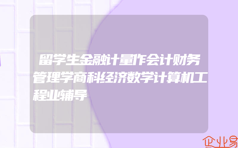 留学生金融计量作会计财务管理学商科经济数学计算机工程业辅导