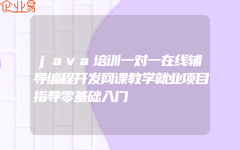 java培训一对一在线辅导编程开发网课教学就业项目指导零基础入门